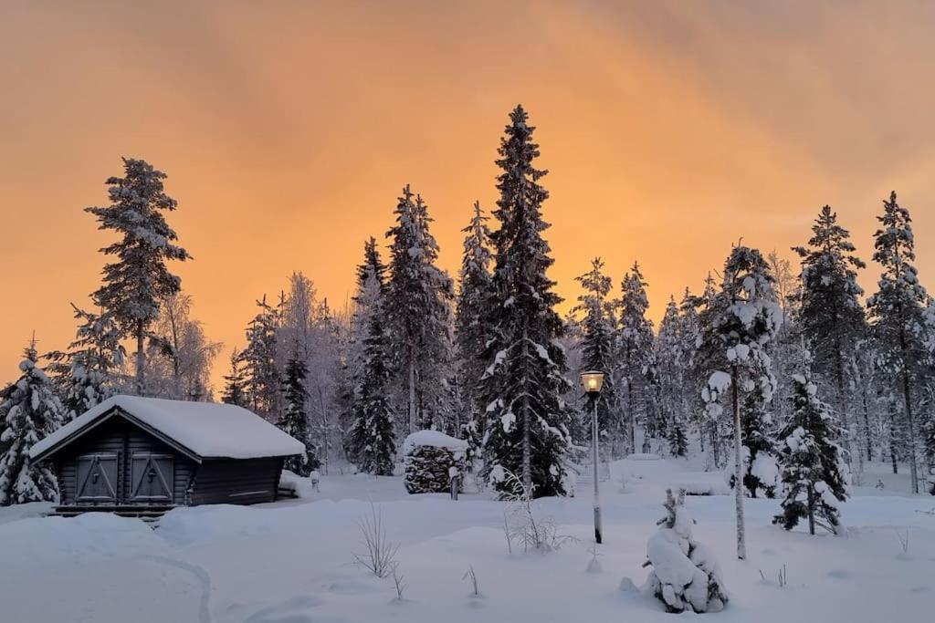 Huvila Eraemaajaerven Rannalla Taivalkoskella Jokijärvi Exteriér fotografie