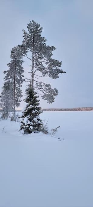 Huvila Eraemaajaerven Rannalla Taivalkoskella Jokijärvi Exteriér fotografie