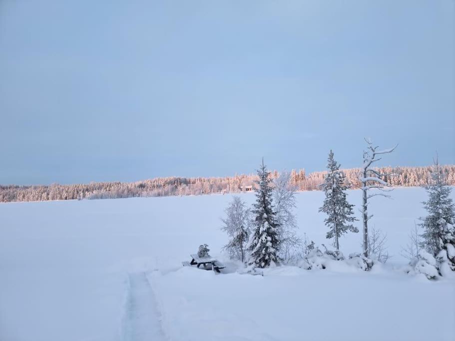 Huvila Eraemaajaerven Rannalla Taivalkoskella Jokijärvi Exteriér fotografie